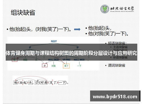 体育健身周期与课程结构树图的周期阶段分层设计与应用研究